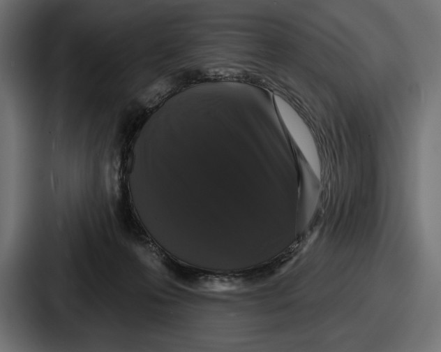 X0000086730223200705111621