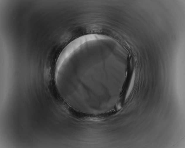 X0000086730224200705111621