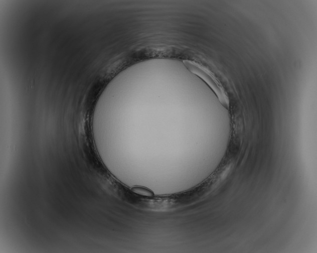X0000086730225200705111621