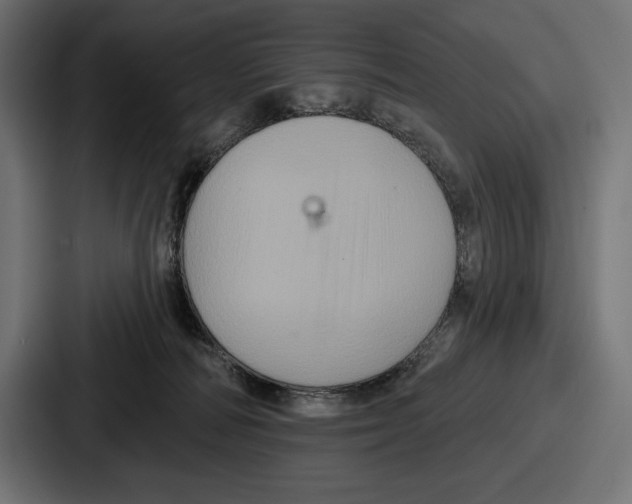 X0000086730226200705111621