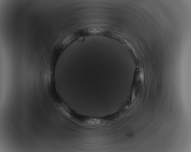 X0000086730227200705111621