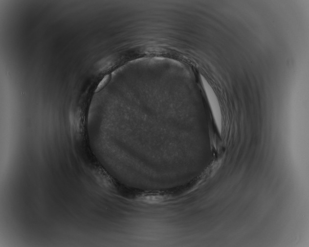 X0000086730228200705111621