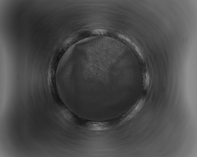X0000086730229200705111621
