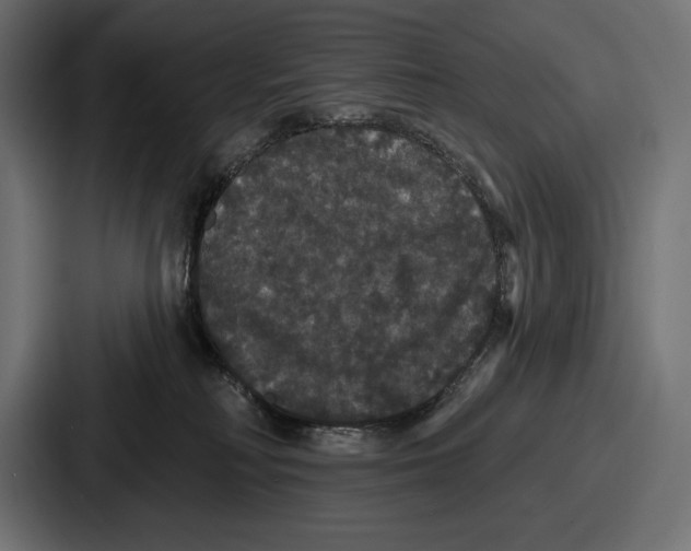 X0000086730230200705111621