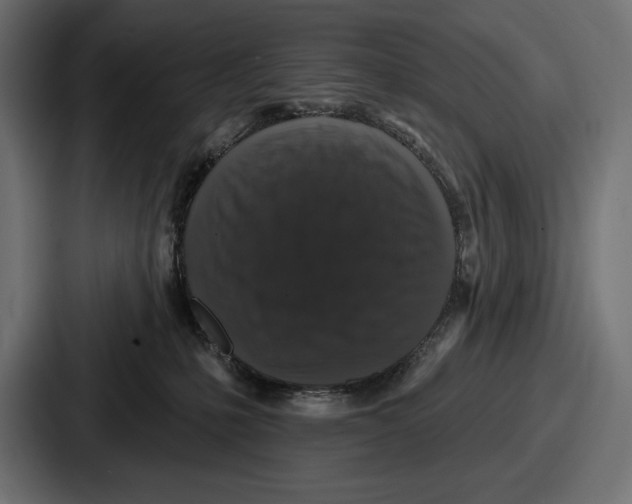 X0000086730231200705111621