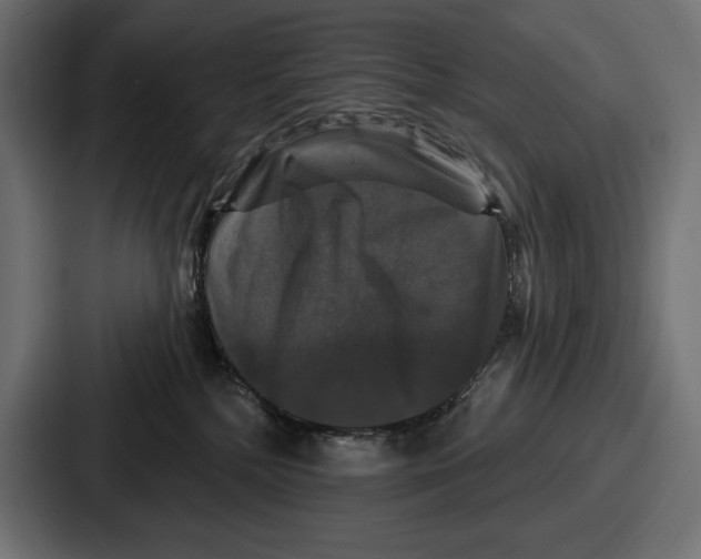 X0000086730232200705111621