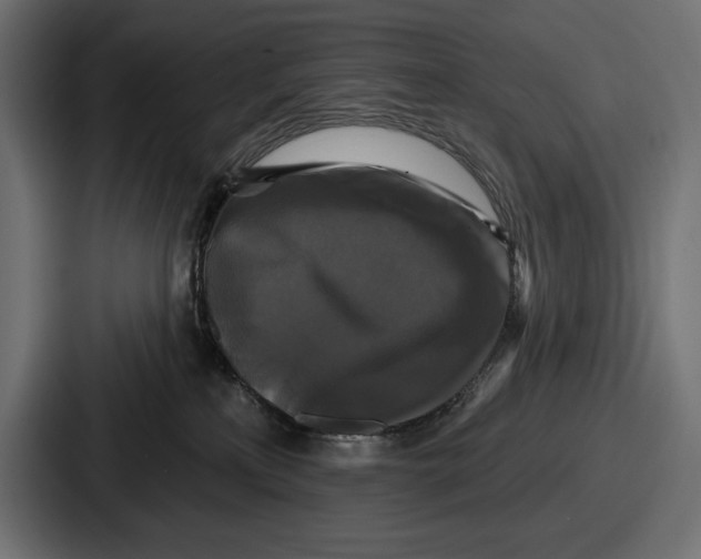 X0000086730233200705111621