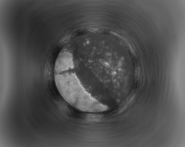 X0000086730234200705111621