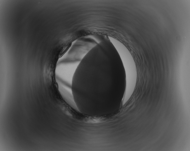 X0000086730235200705111621