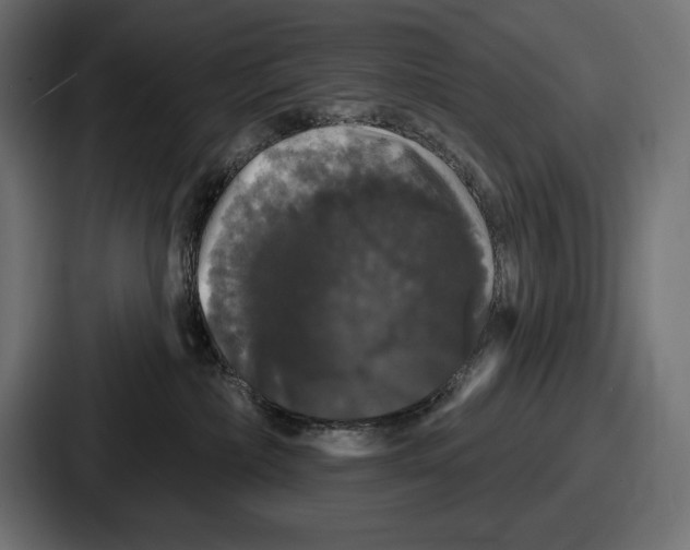 X0000086730236200705111621