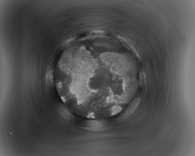 X0000086730238200705111621