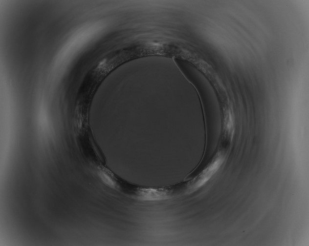 X0000086730239200705111621