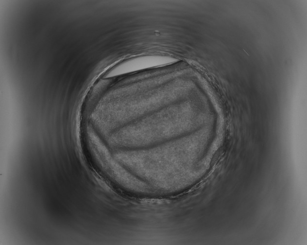 X0000086730242200705111620
