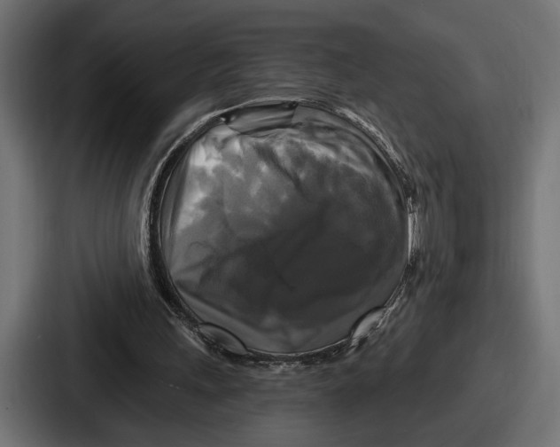 X0000086730243200705111620