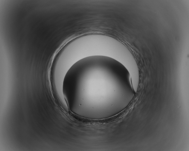 X0000086730244200705111620