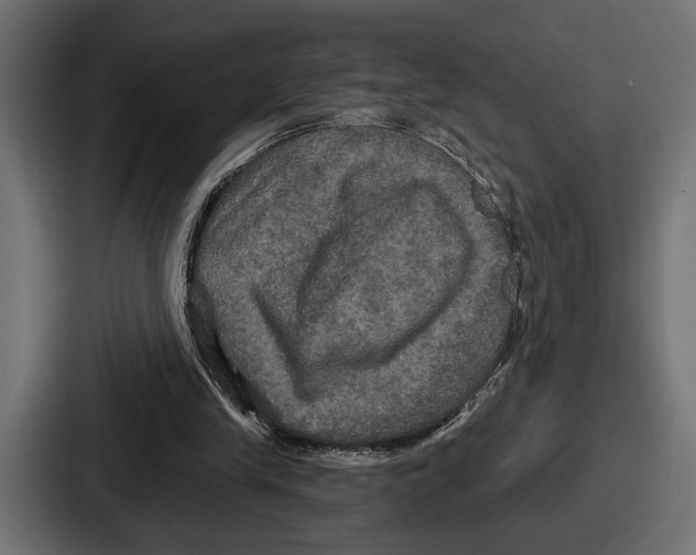 X0000086730245200705111620