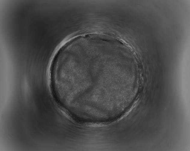 X0000086730246200705111620