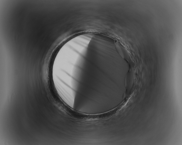 X0000086730247200705111620