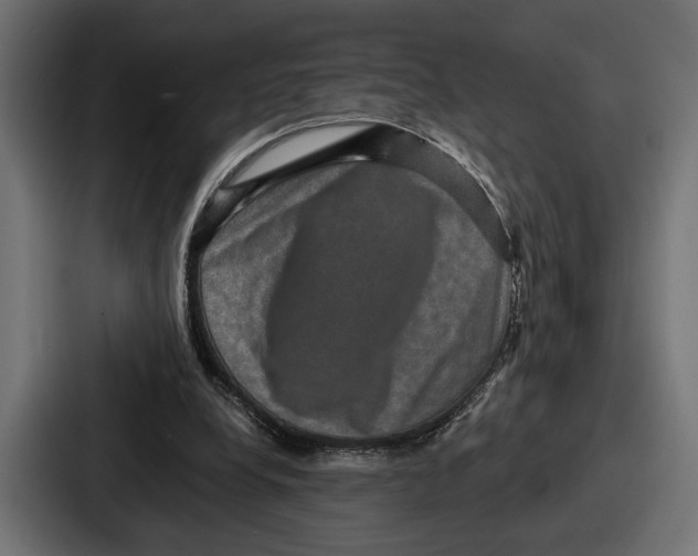 X0000086730248200705111620