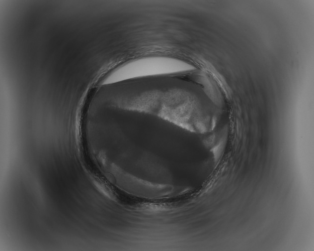 X0000086730250200705111620