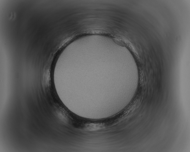 X0000086730251200705111620