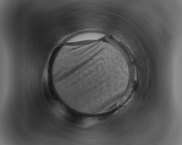 X0000086730252200705111620