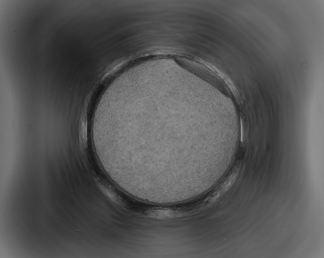 X0000086730253200705111620