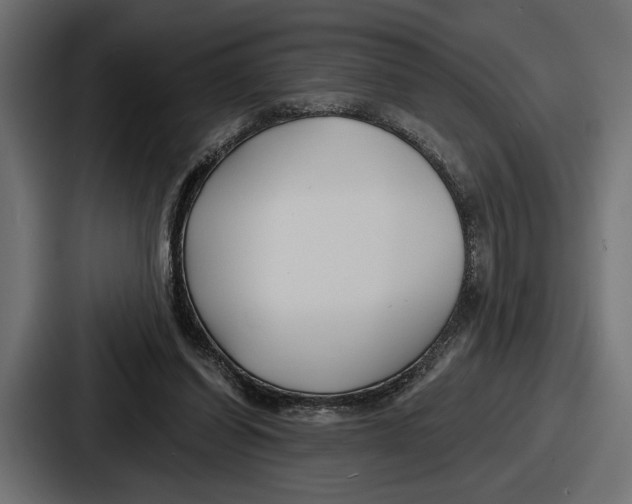 X0000086730254200705111620