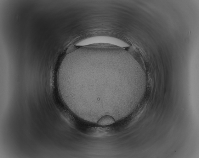 X0000086730255200705111620