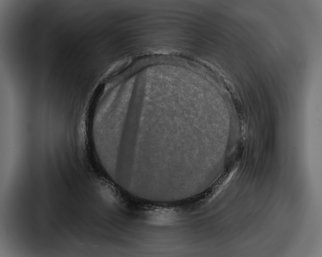 X0000086730256200705111620