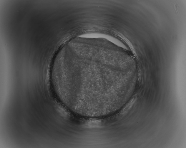 X0000086730257200705111620