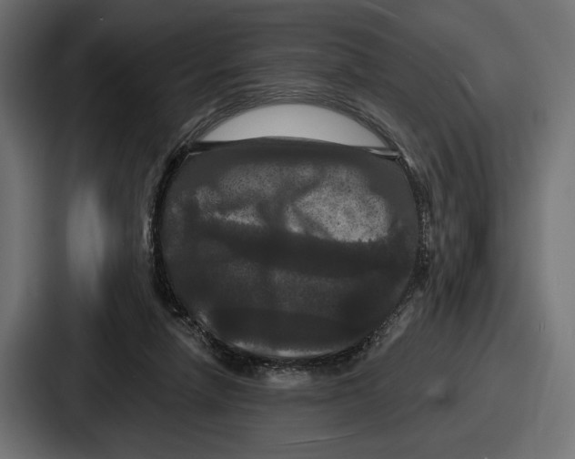 X0000086730258200705111620