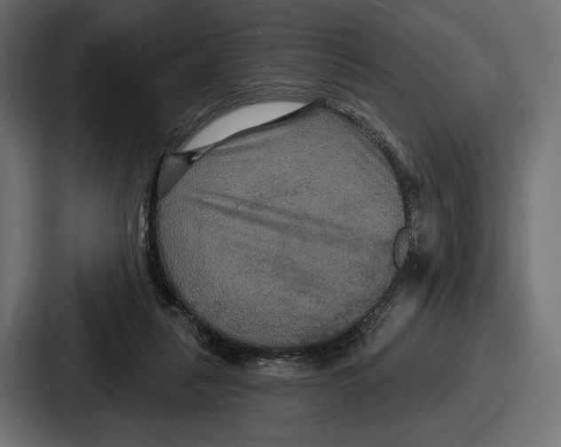 X0000086730259200705111620