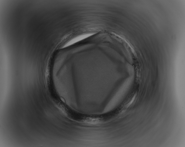 X0000086730260200705111620