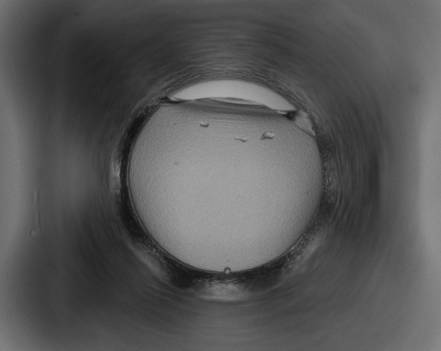 X0000086730262200705111620
