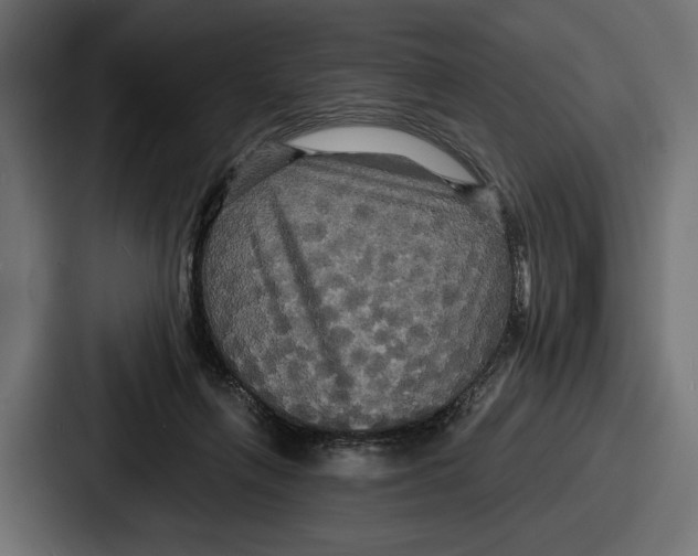 X0000086730263200705111621