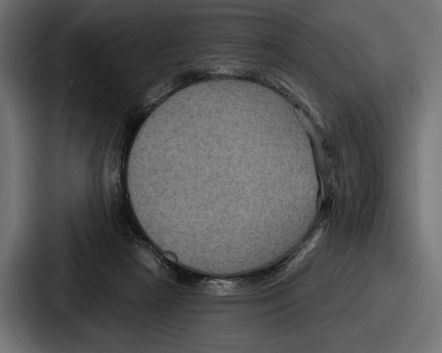 X0000086730265200705111621