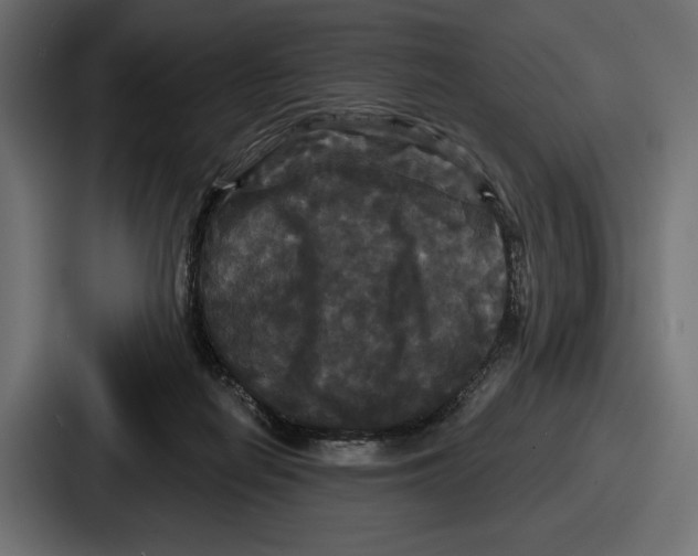 X0000086730266200705111621