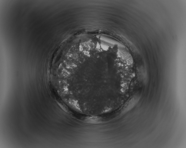 X0000086730269200705111621