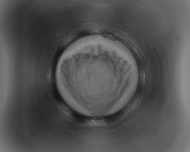 X0000086730270200705111621