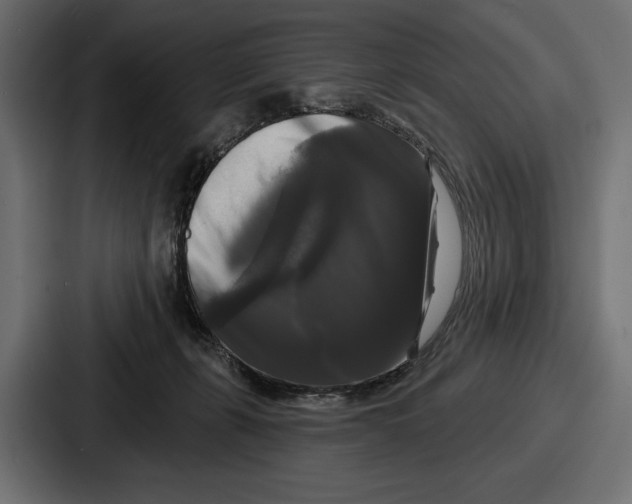 X0000086730271200705111621