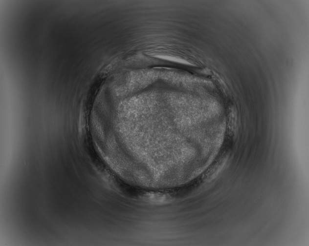 X0000086730272200705111621