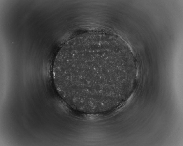 X0000086730273200705111621