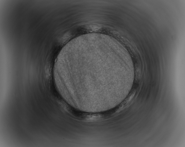 X0000086730274200705111621