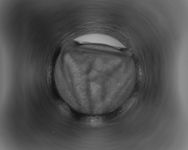 X0000086730275200705111621