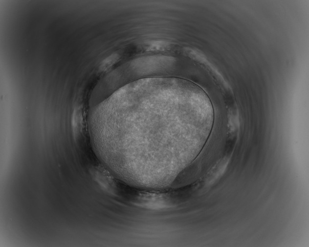 X0000086730276200705111621