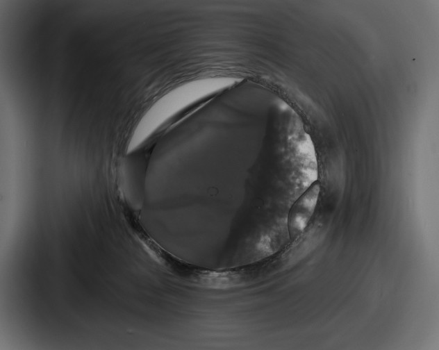 X0000086730277200705111621