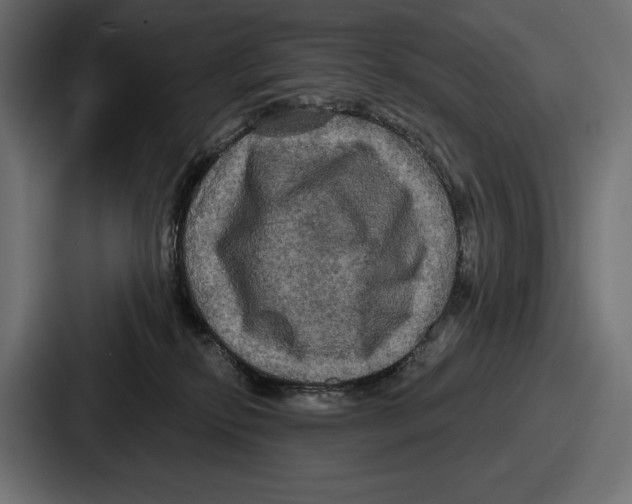 X0000086730278200705111621