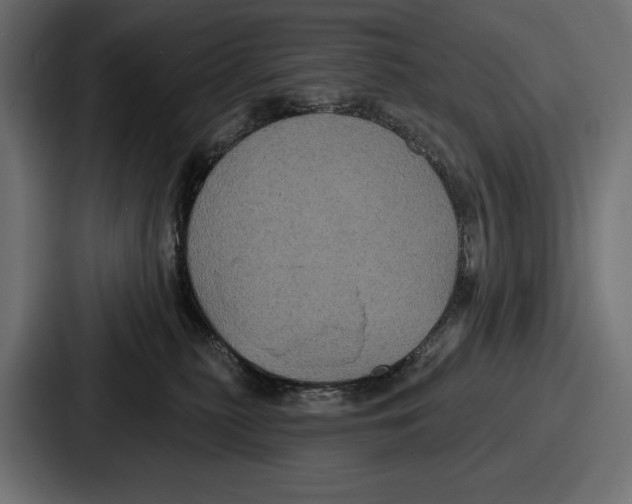 X0000086730279200705111621