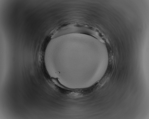 X0000086730280200705111621